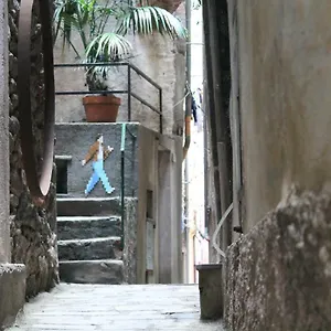 https://guardando-le-stelle.hotelitalianriviera.com